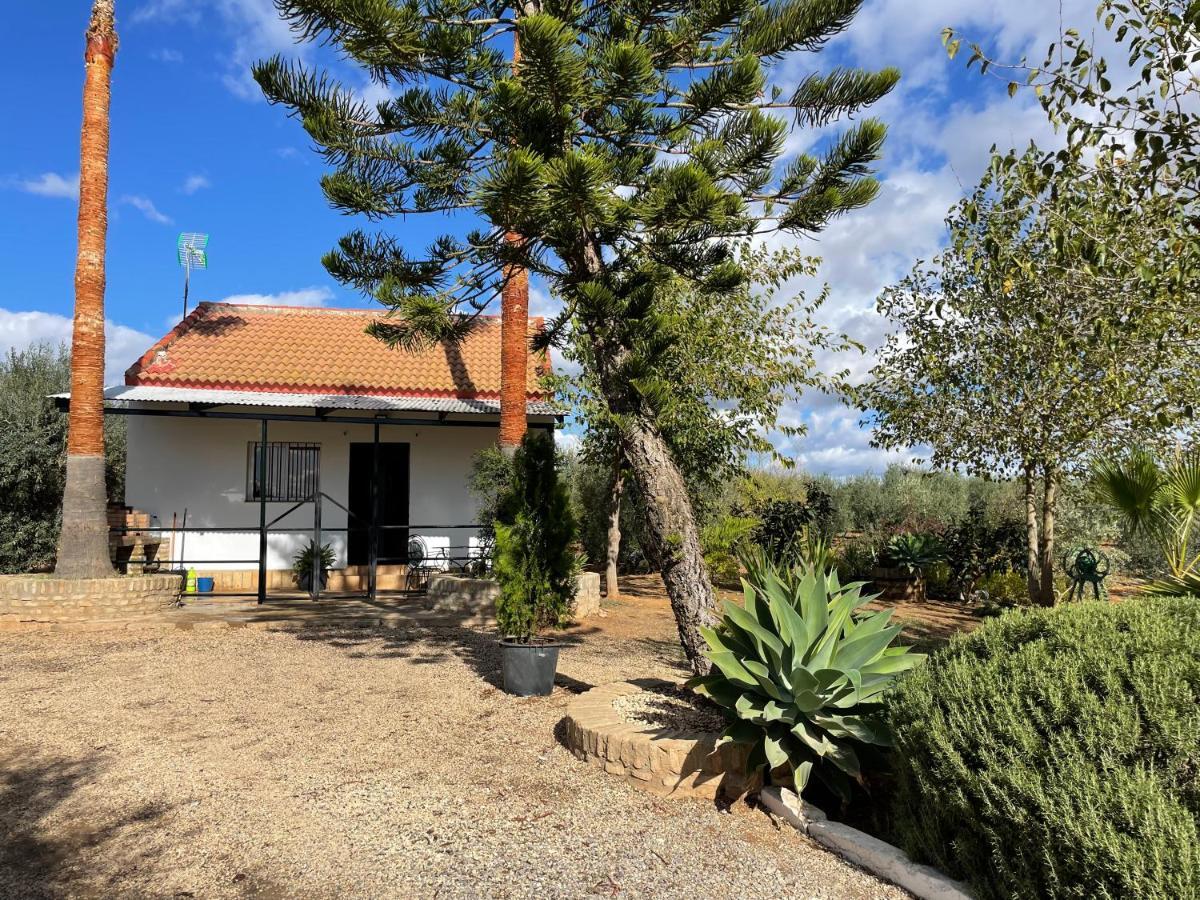El Paraiso Del Olivar Bollullos de la Mitación Exterior foto