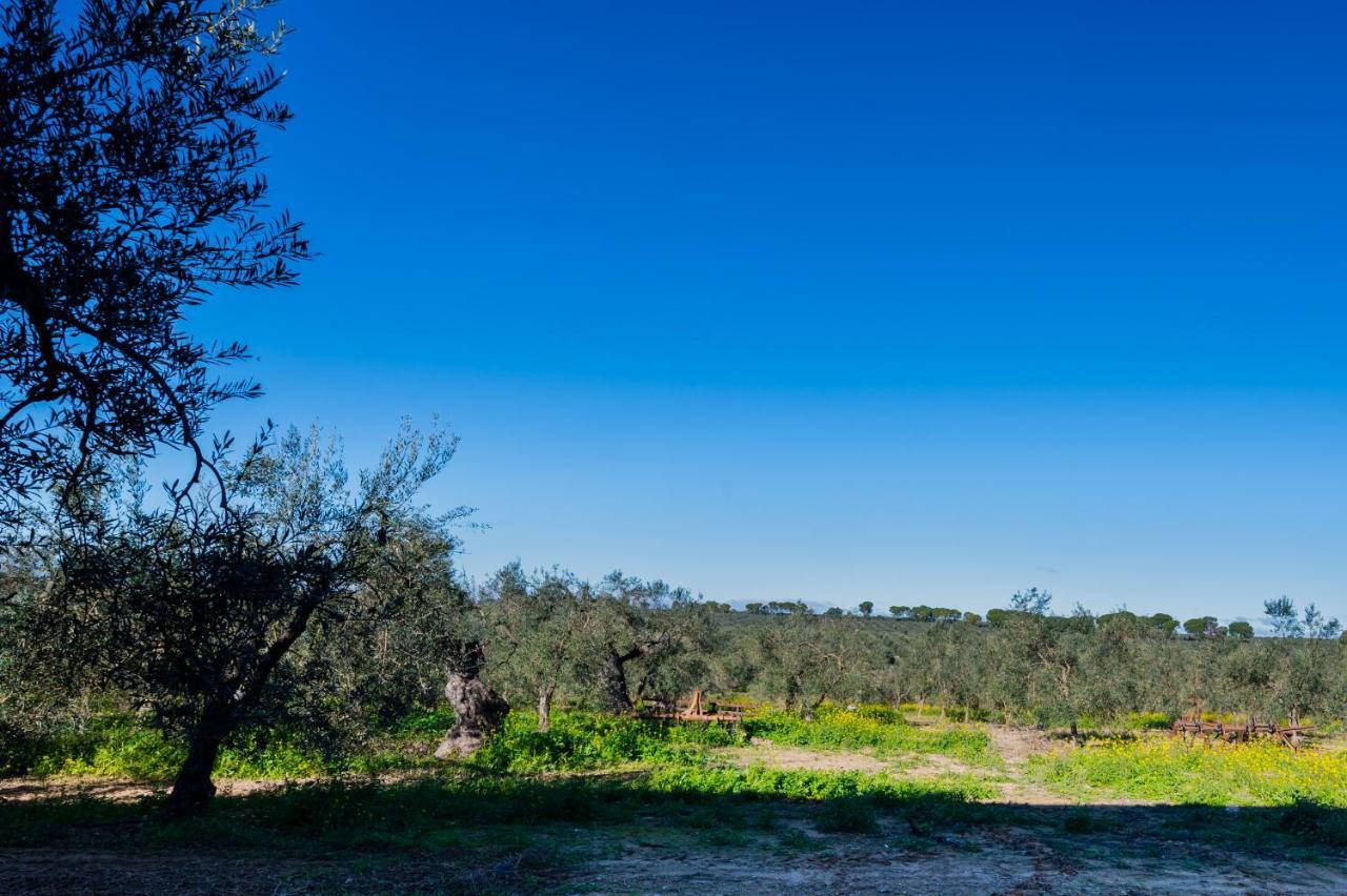 El Paraiso Del Olivar Bollullos de la Mitación Exterior foto
